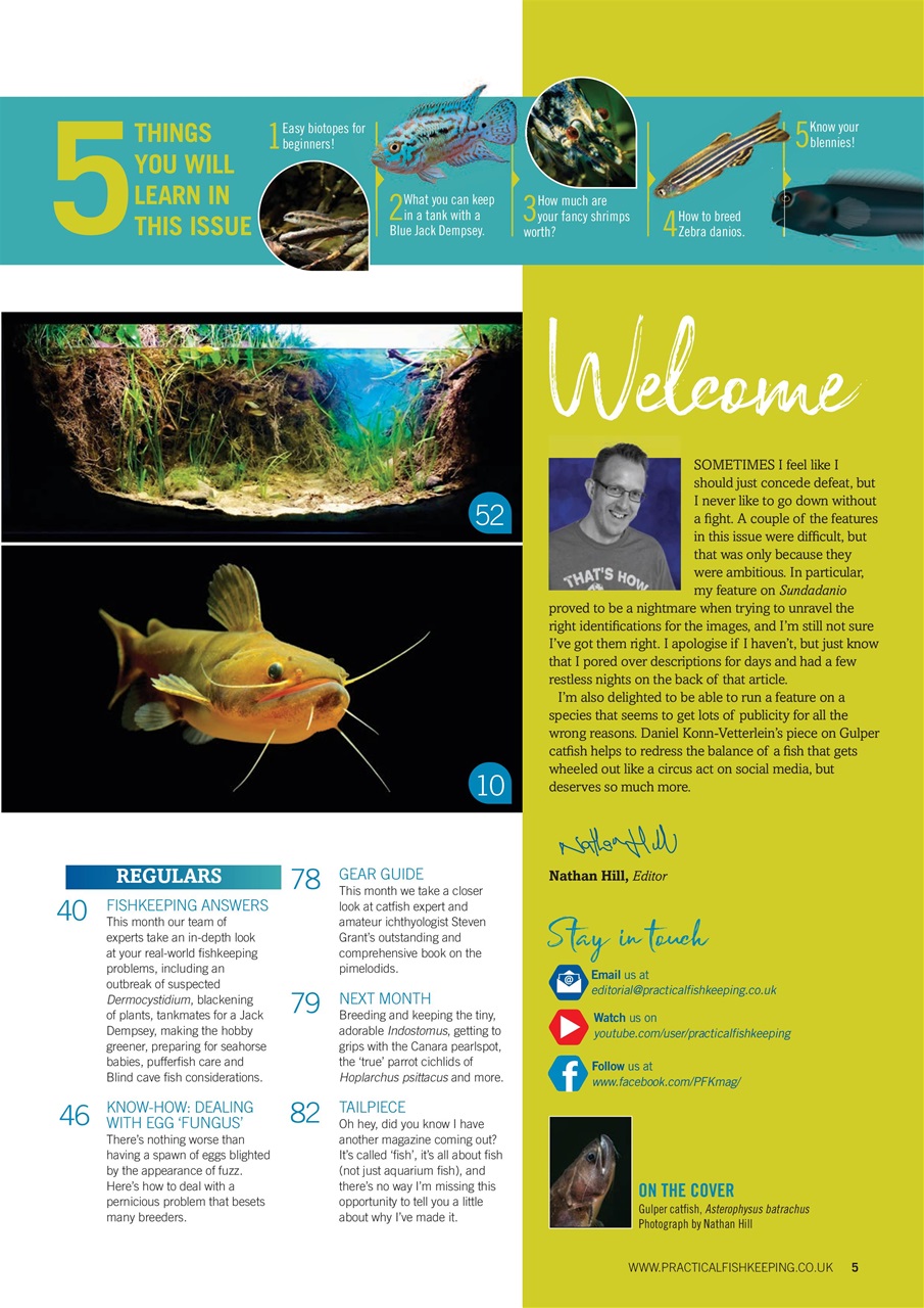 Practical Fishkeeping Preview Pages