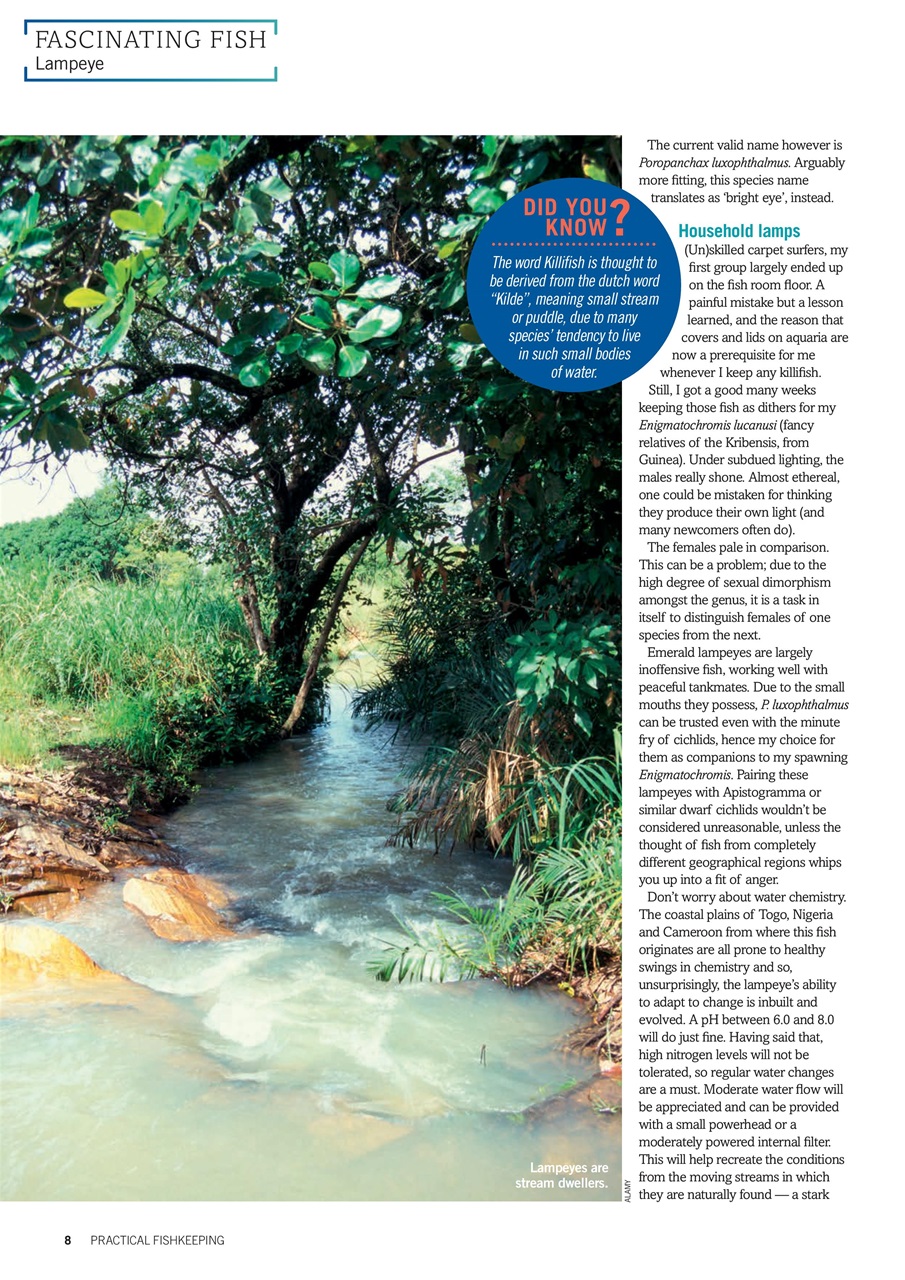 Practical Fishkeeping Preview Pages