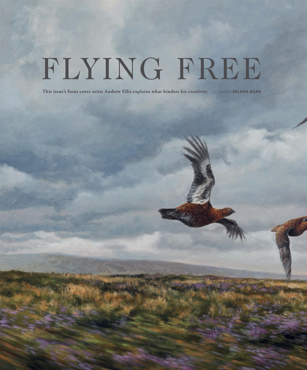 Fieldsports Journal Preview Pages