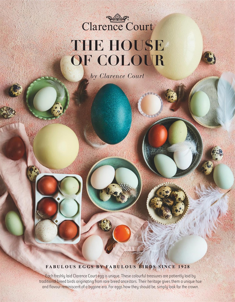 delicious. Magazine Preview Pages