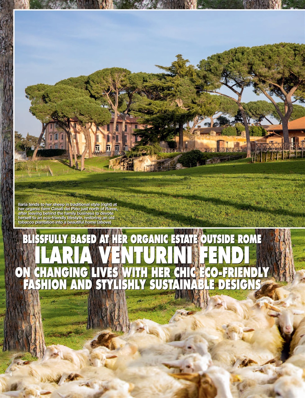 Hello! Magazine Preview Pages