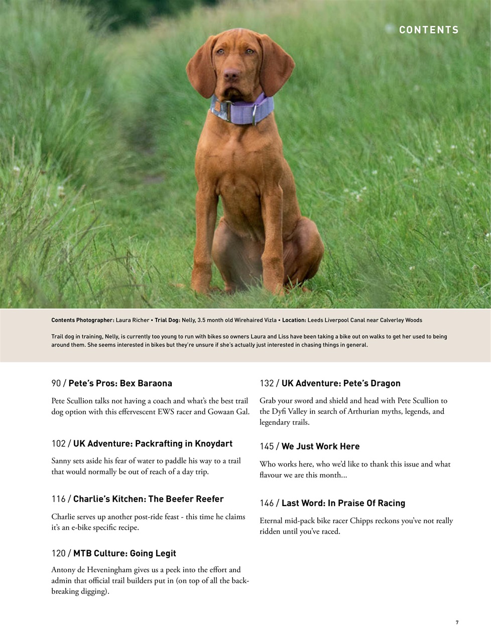 Singletrack Preview Pages