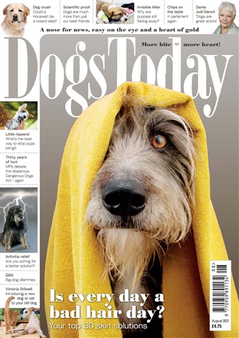 Dogs Today Magazine issue August 2021