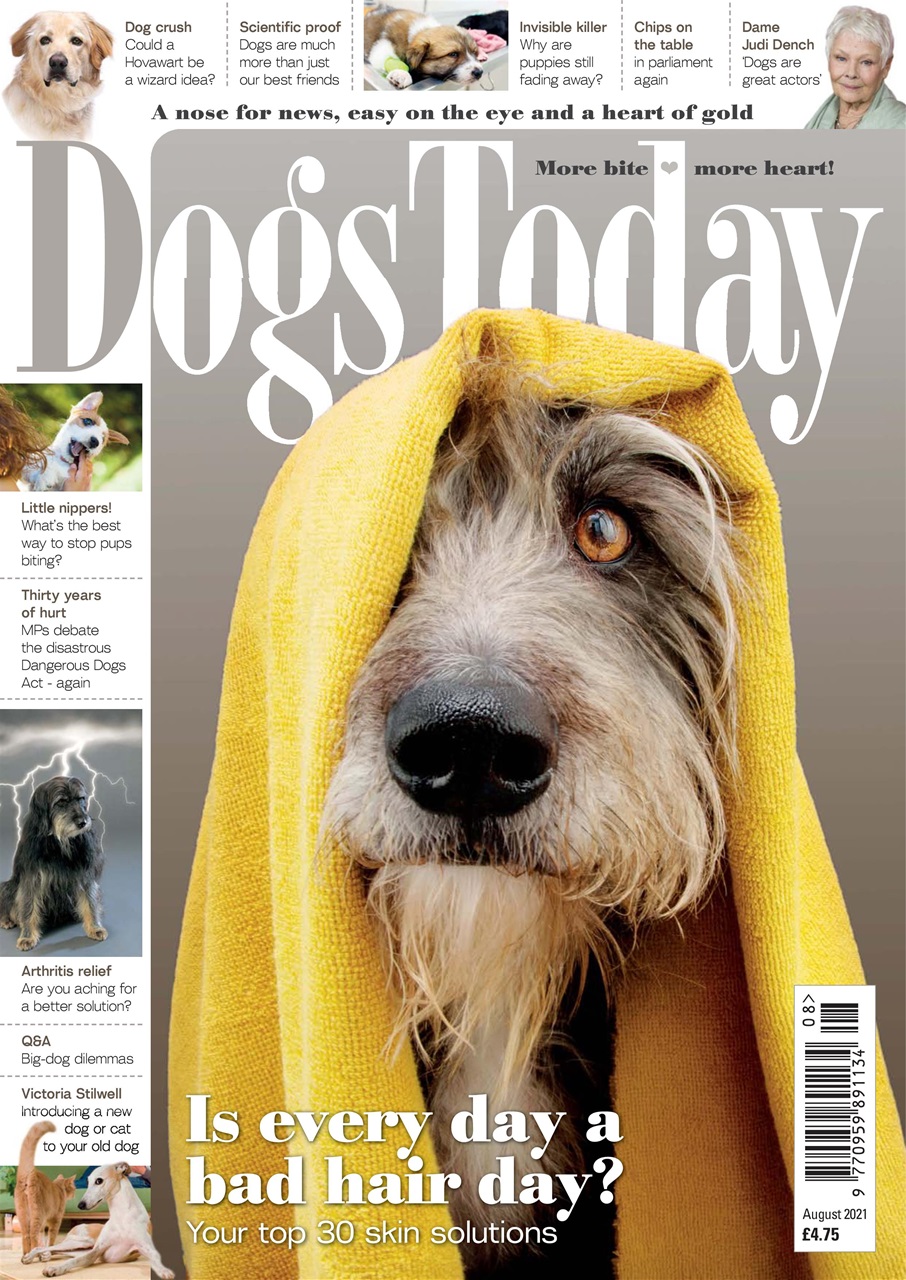 Dogs Today Magazine Preview Pages