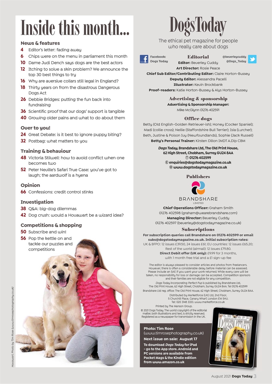 Dogs Today Magazine Preview Pages