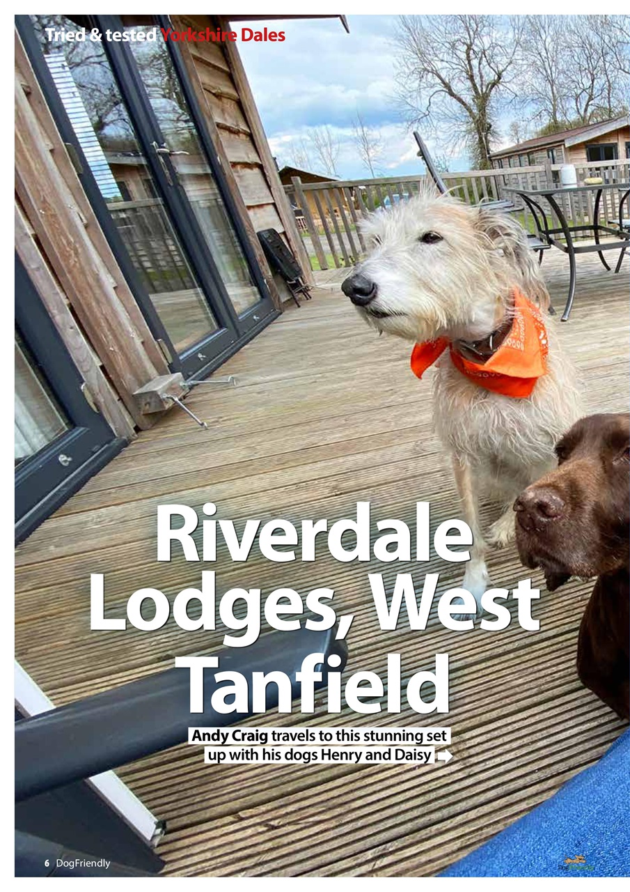 Dog Friendly Preview Pages