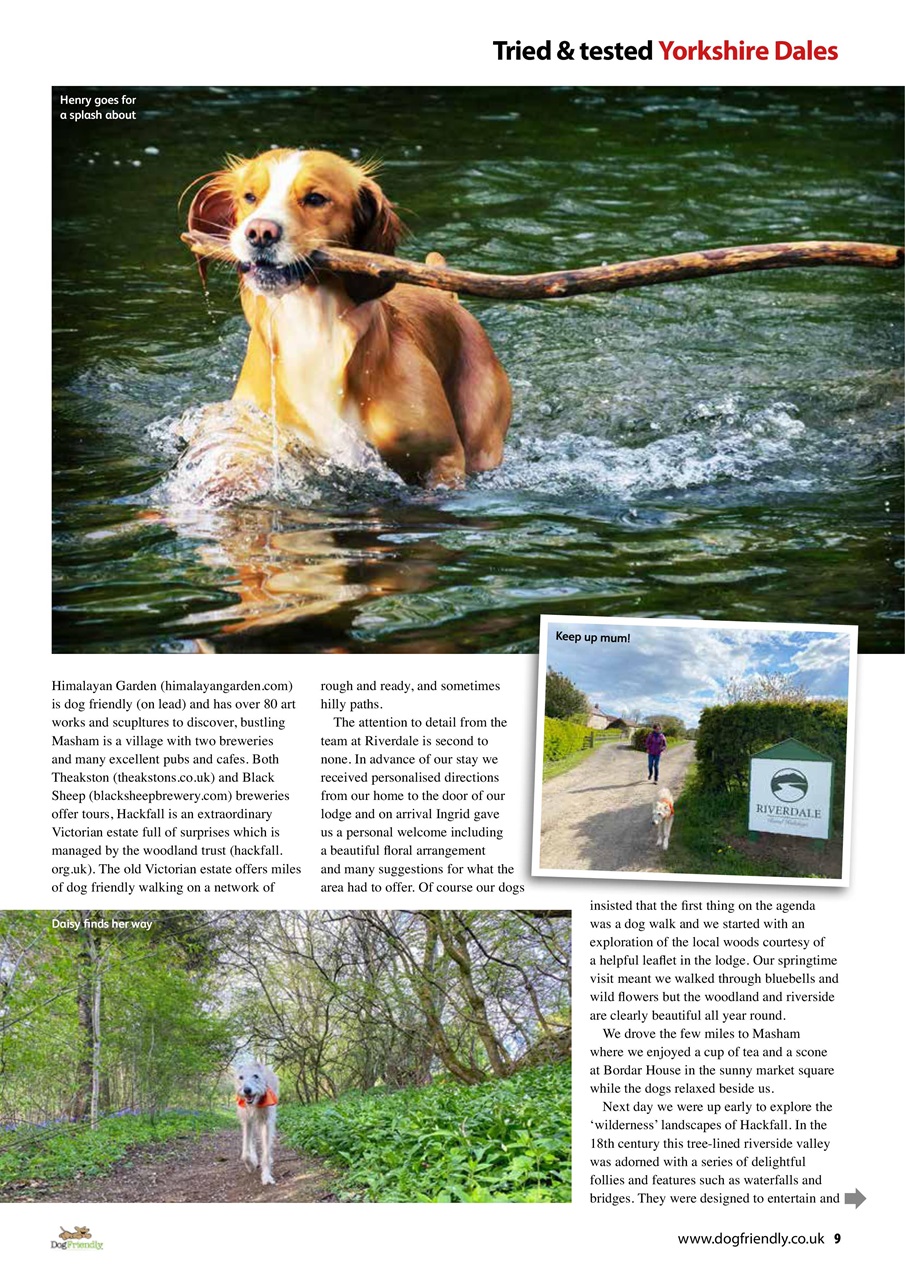 Dog Friendly Preview Pages