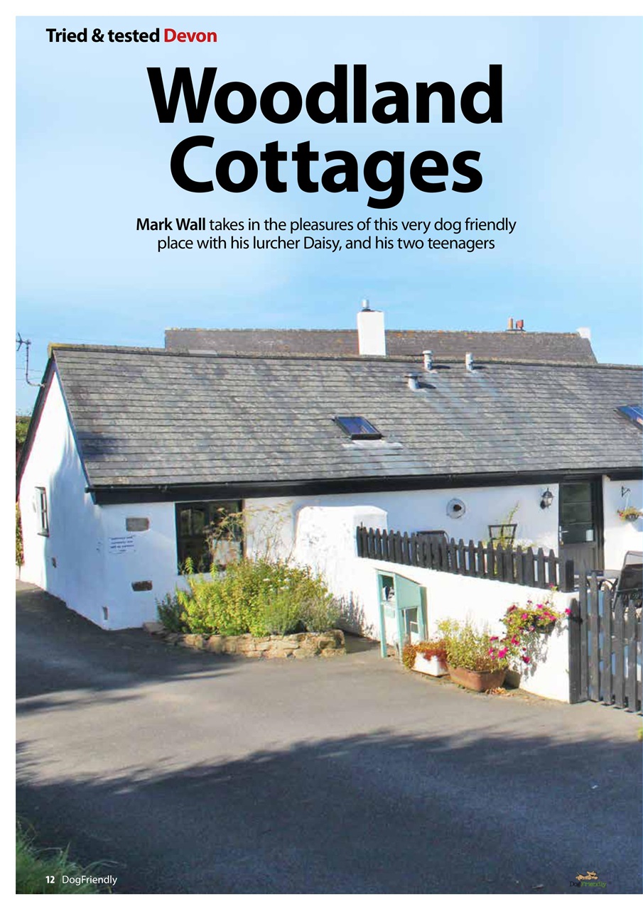 Dog Friendly Preview Pages