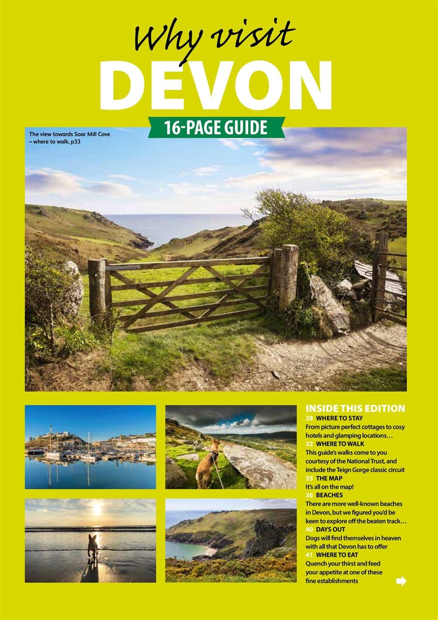 Dog Friendly Preview Pages