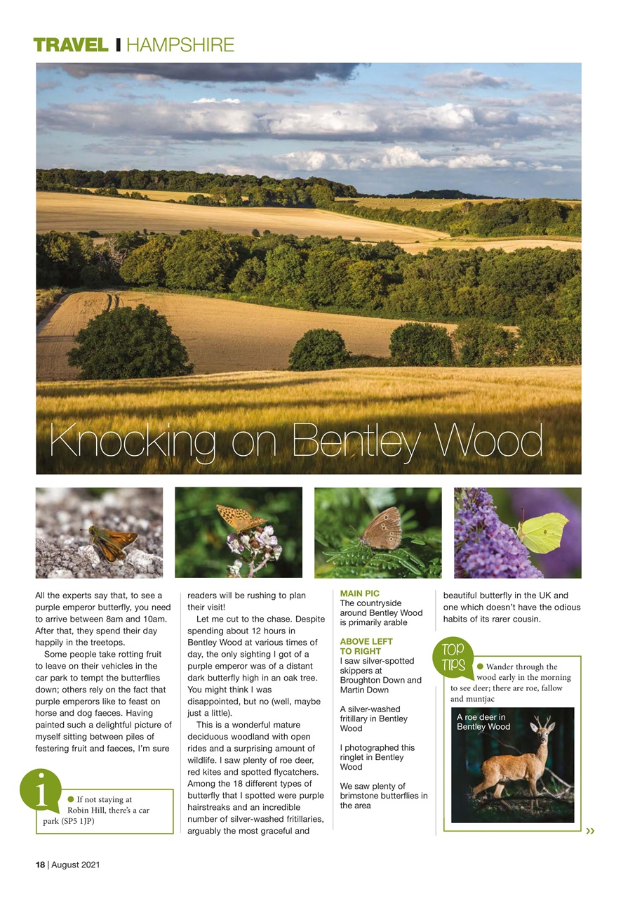 Caravan Magazine Preview Pages