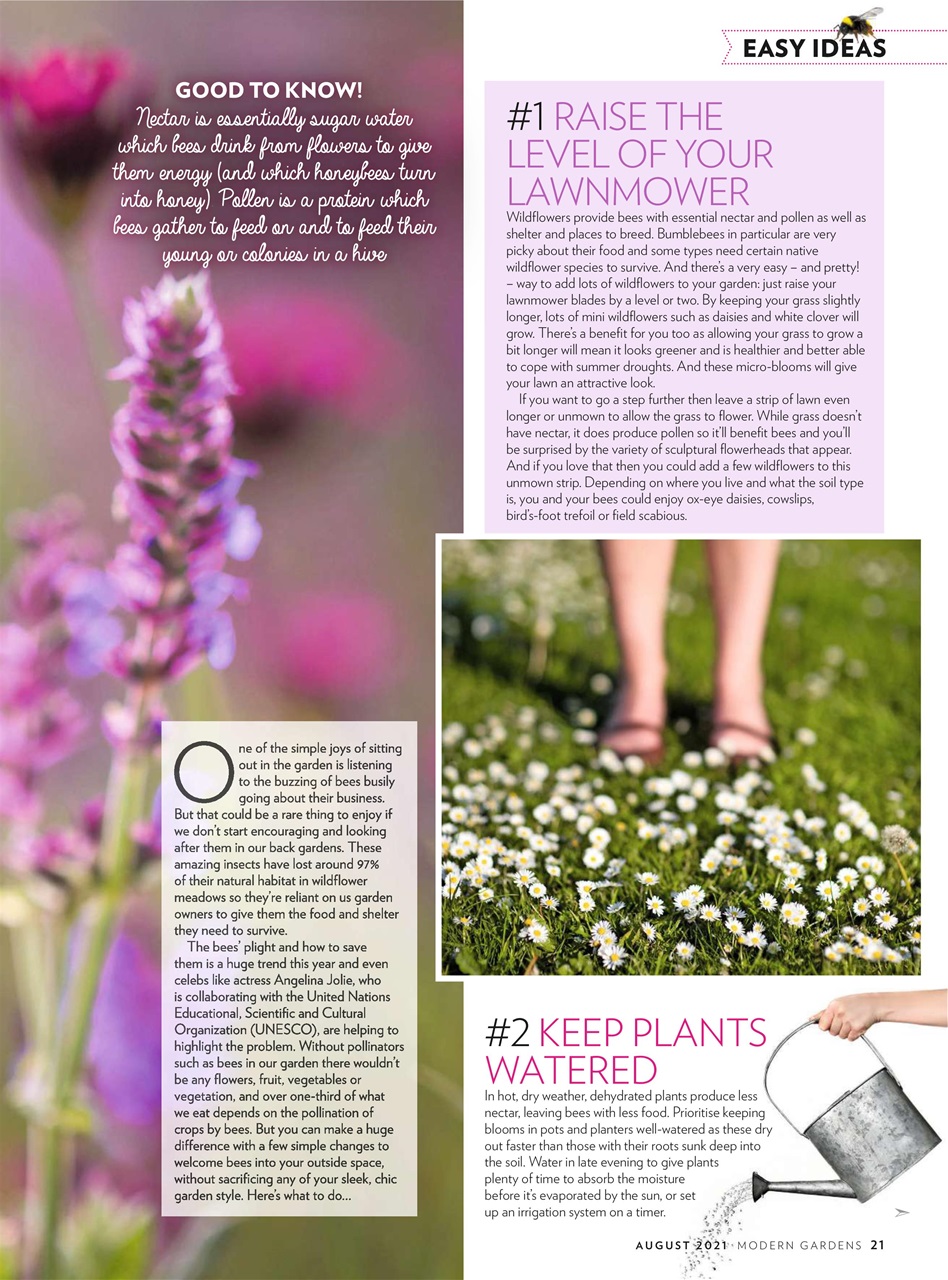 Modern Gardens Preview Pages