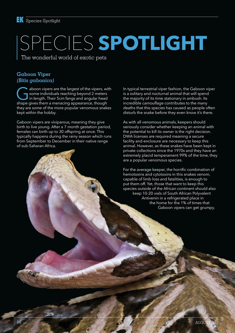 Exotics Keeper Preview Pages