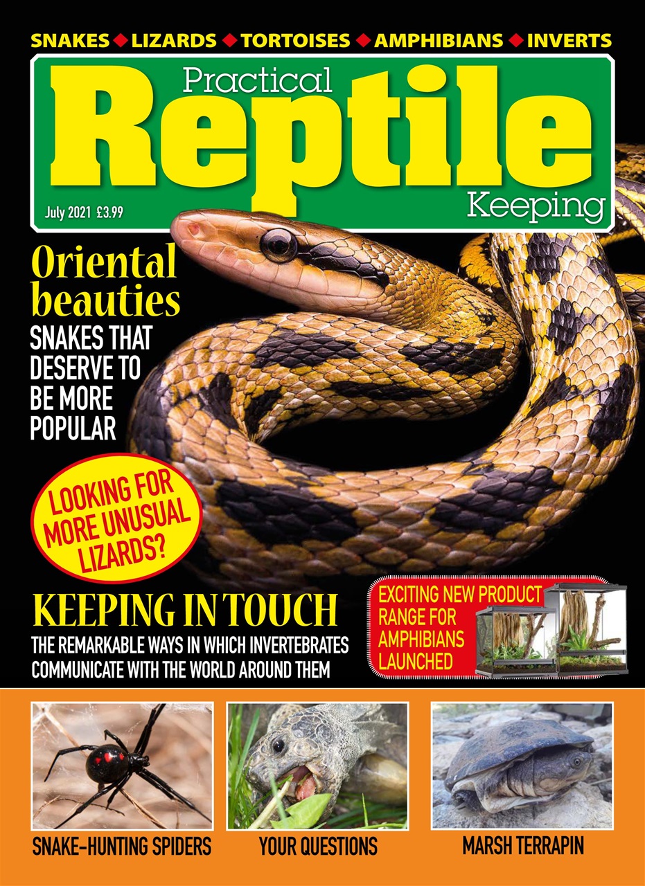 Practical Reptile Keeping Preview Pages