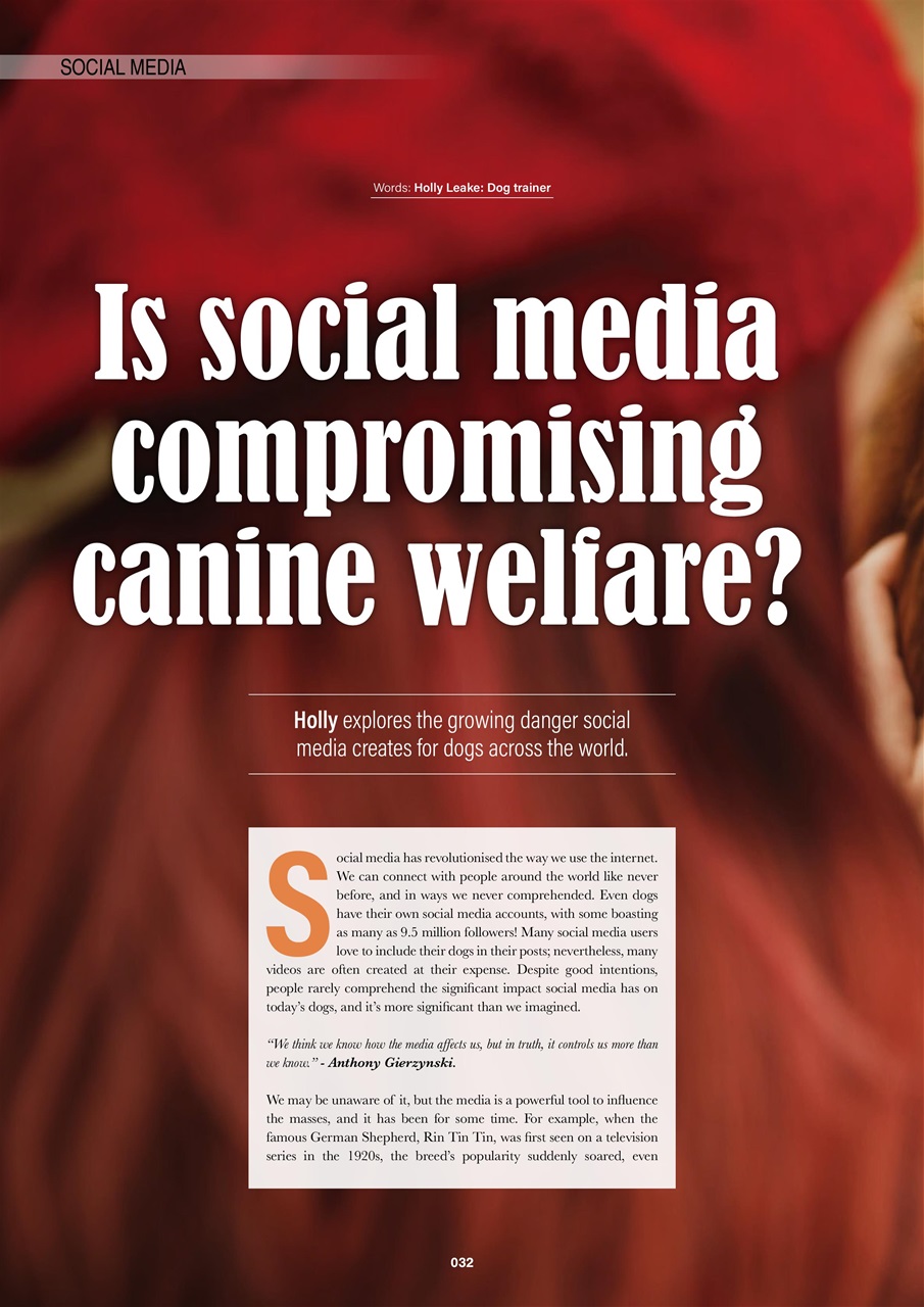 Edition Dog Preview Pages