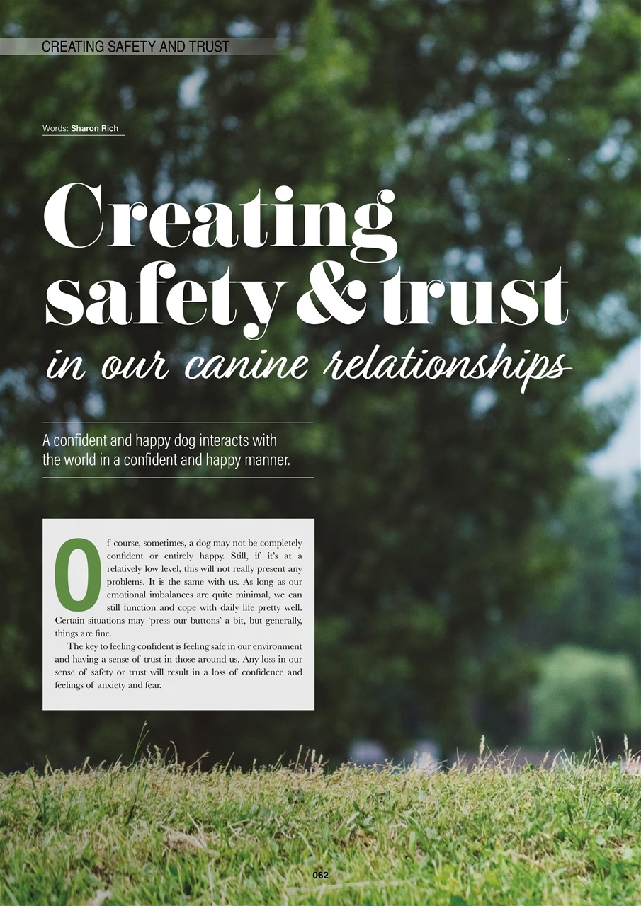 Edition Dog Preview Pages