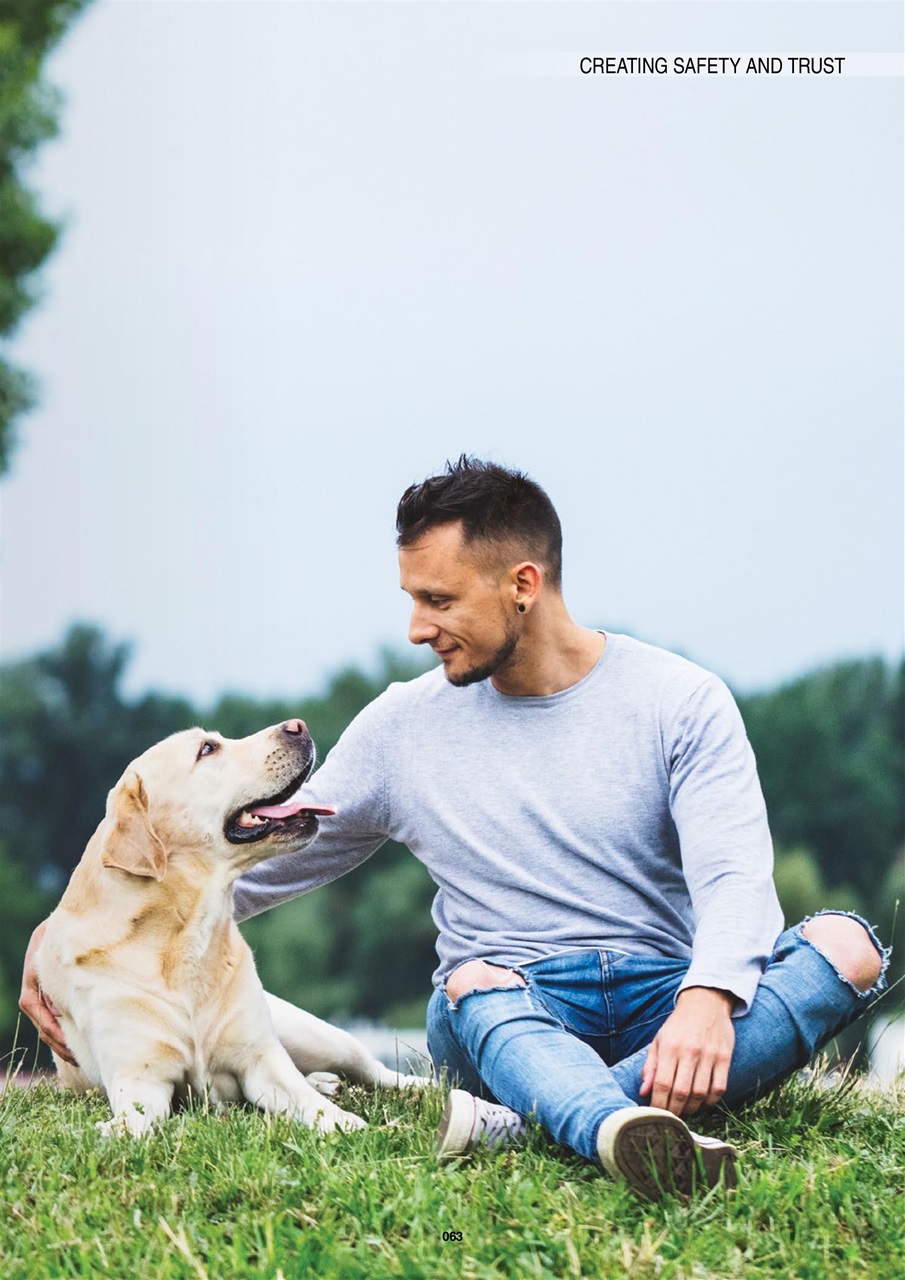 Edition Dog Preview Pages