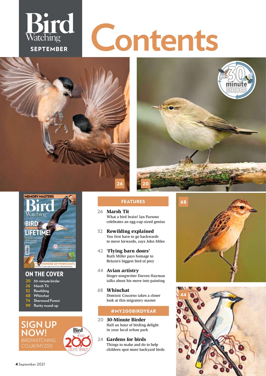Bird Watching Preview Pages