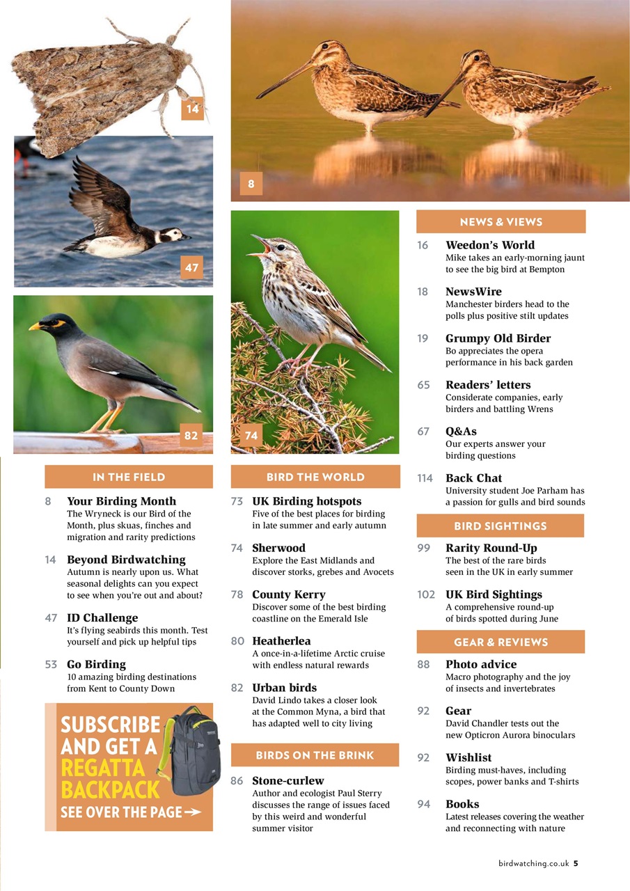 Bird Watching Preview Pages