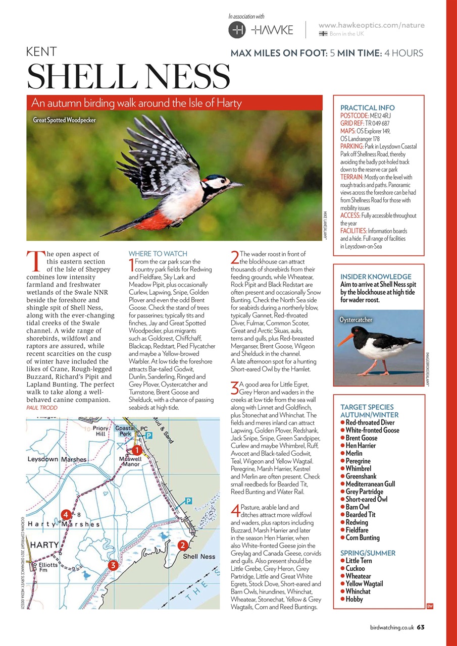 Bird Watching Preview Pages