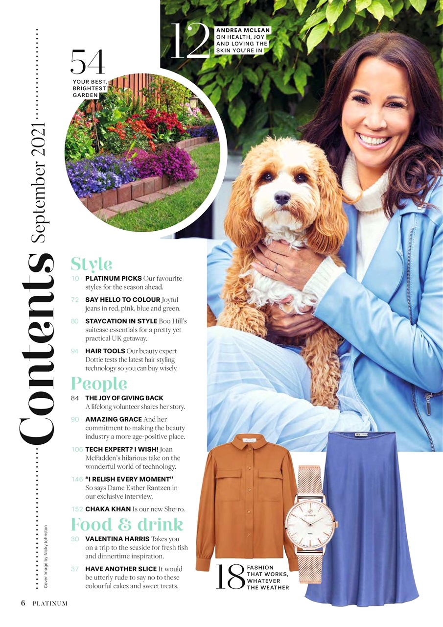 Platinum Preview Pages