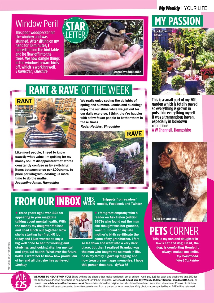 My Weekly Preview Pages