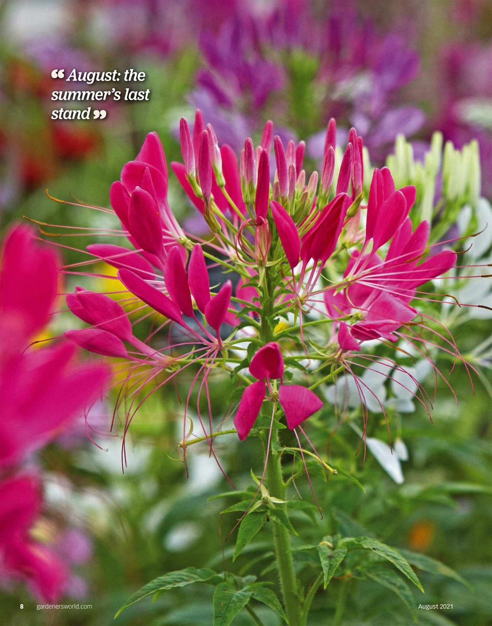 BBC Gardeners’ World Magazine Preview Pages