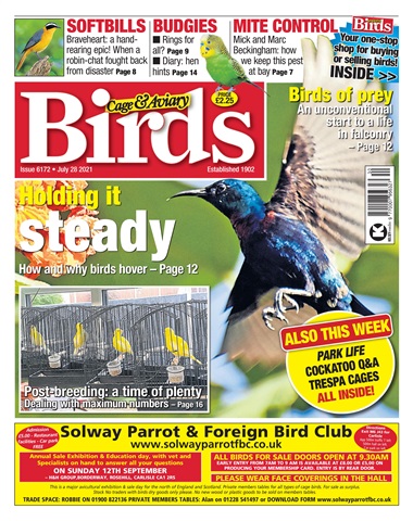 Cage & Aviary Birds issue 28/07/2021