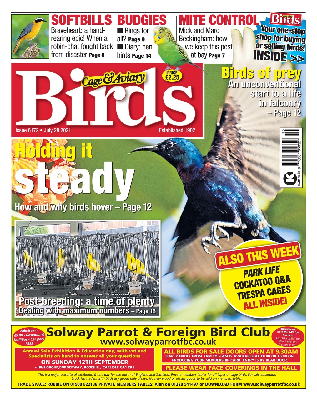 Cage & Aviary Birds Preview Pages