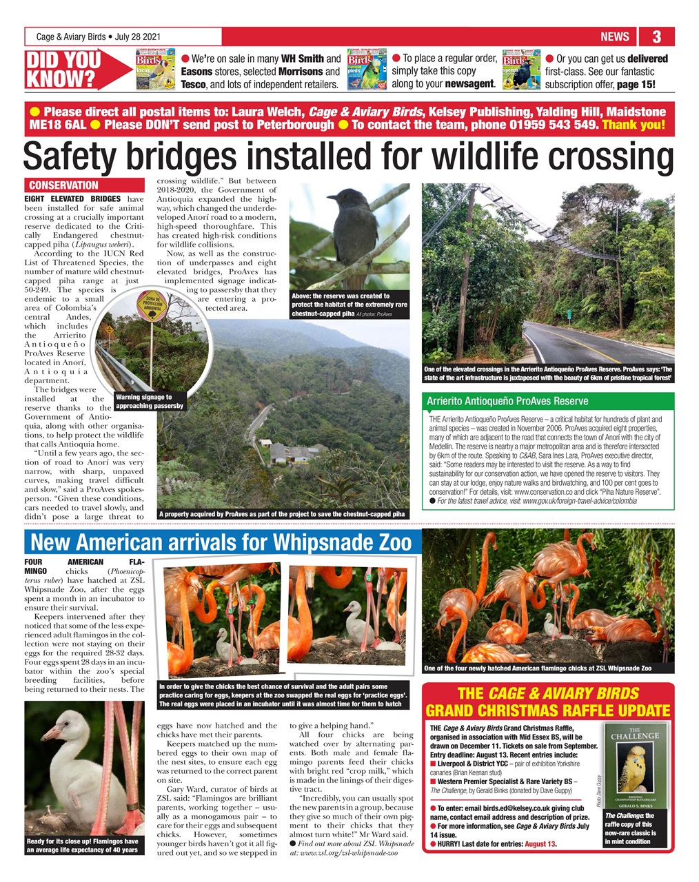 Cage & Aviary Birds Preview Pages