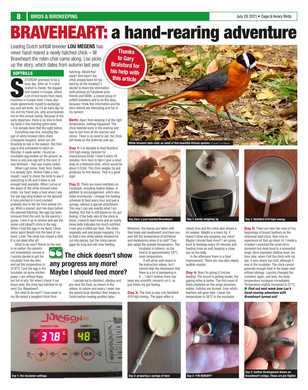 Cage & Aviary Birds Preview Pages