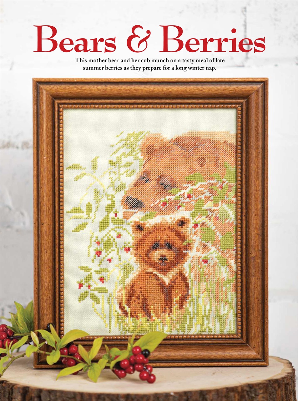 Just CrossStitch Preview Pages