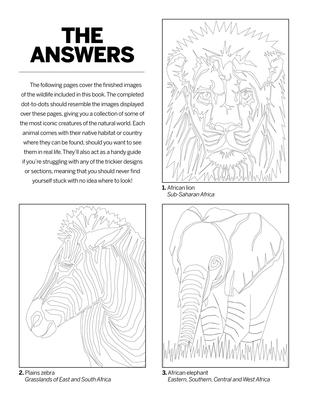 Dot to Dot Bookazine Preview Pages