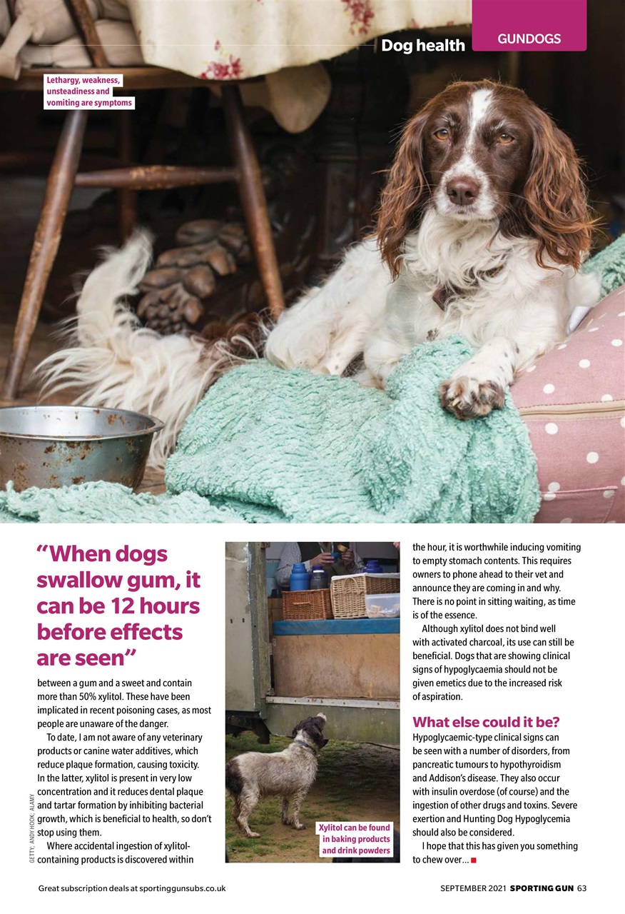 Sporting Gun Preview Pages