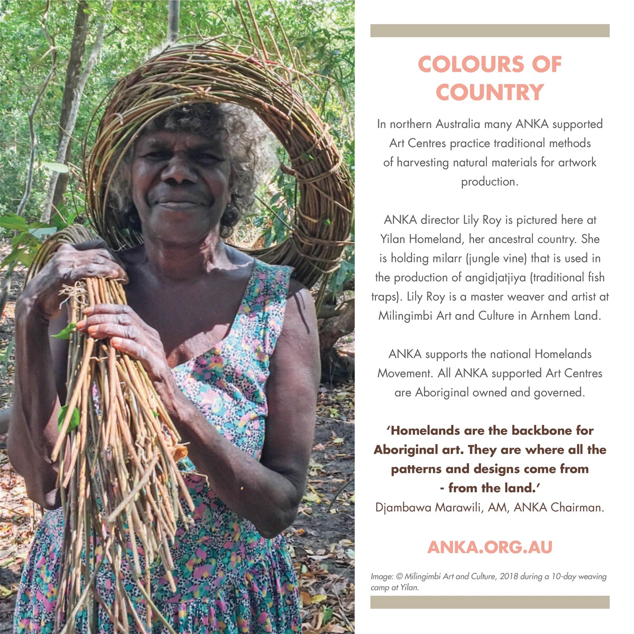 Art Collector Preview Pages