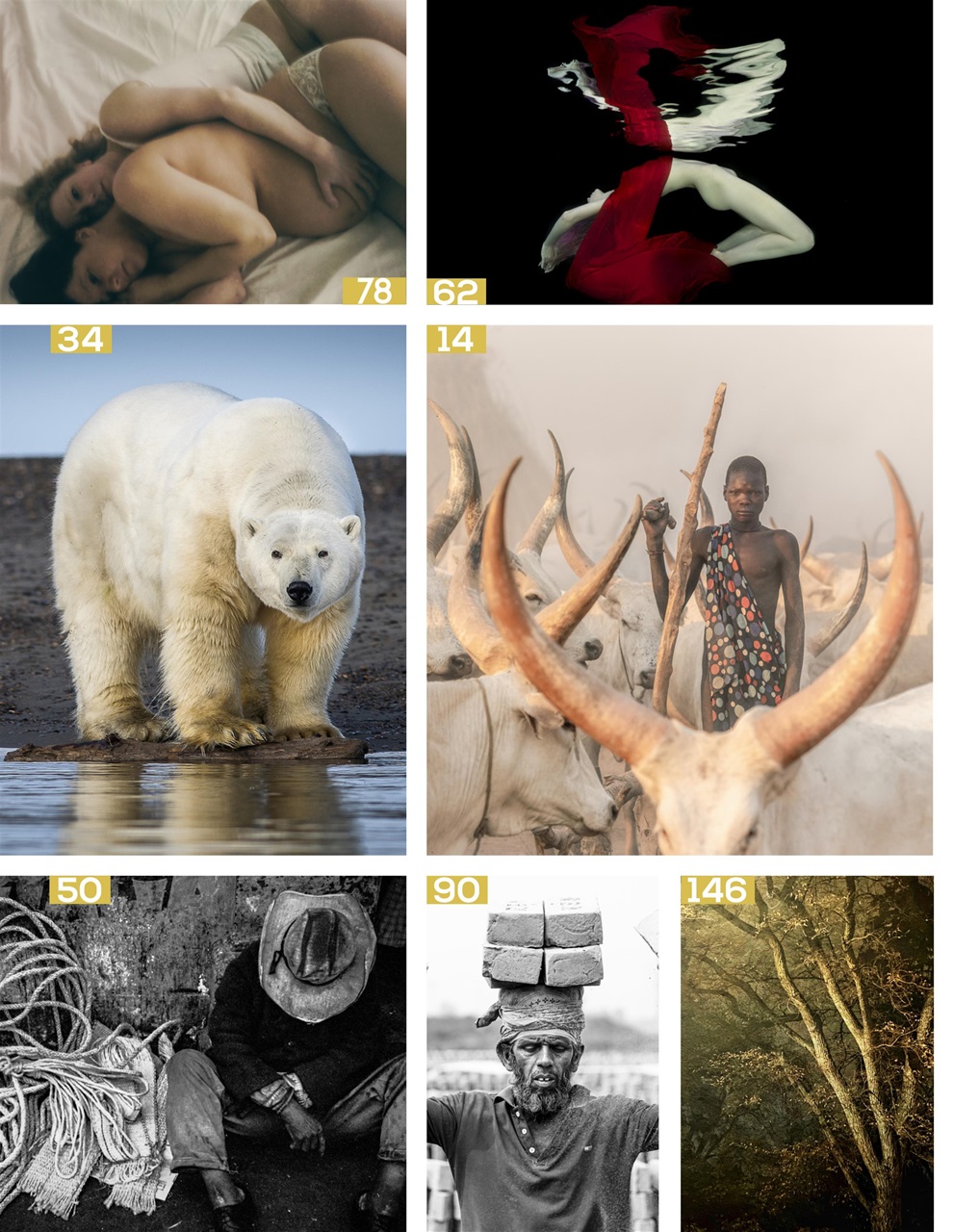 Lens Magazine Preview Pages