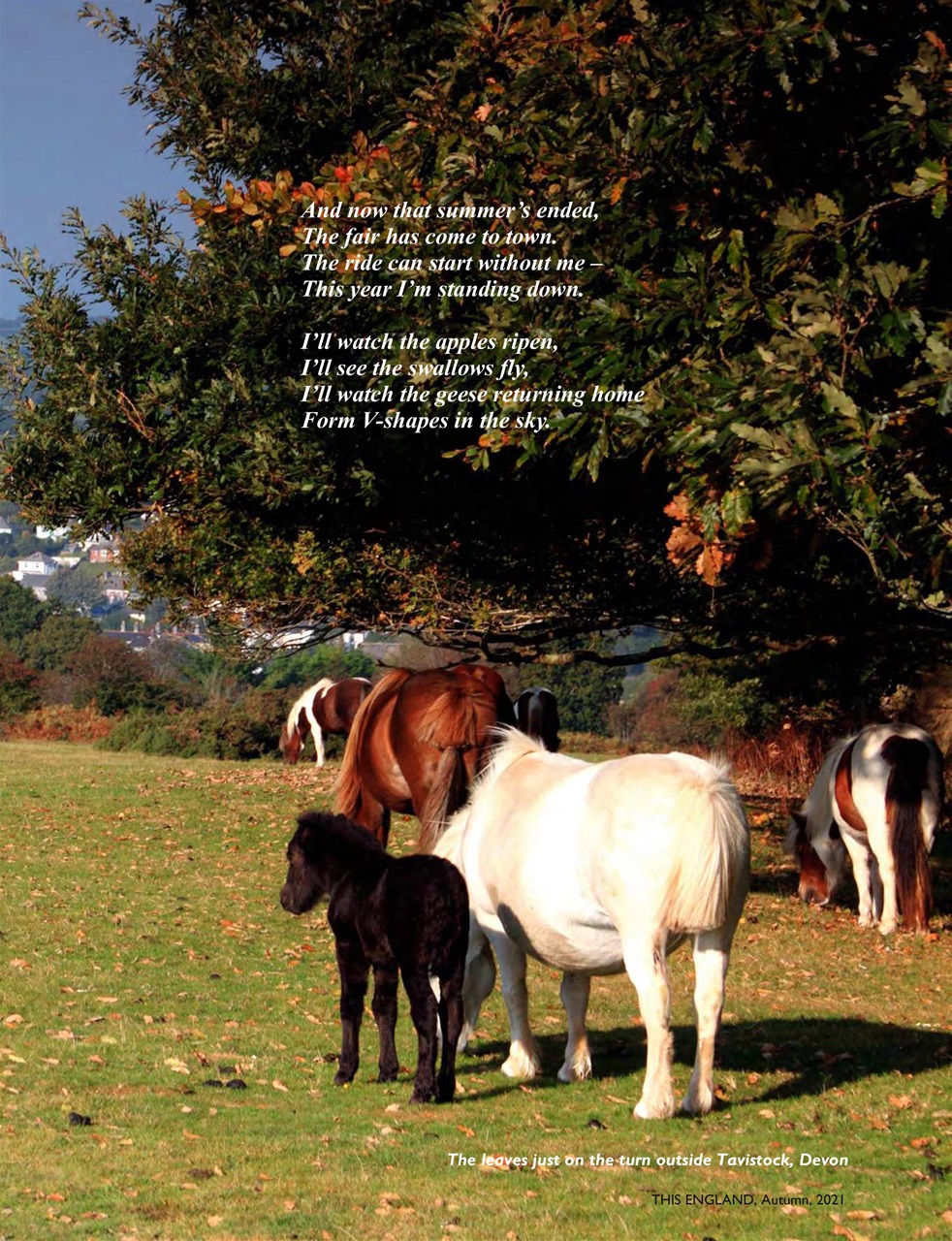 This England Preview Pages
