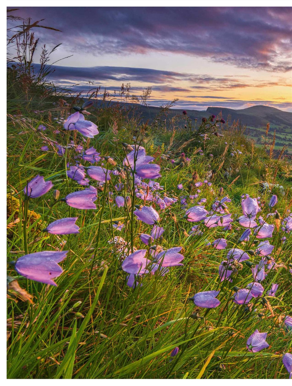 BBC Countryfile Magazine Preview Pages
