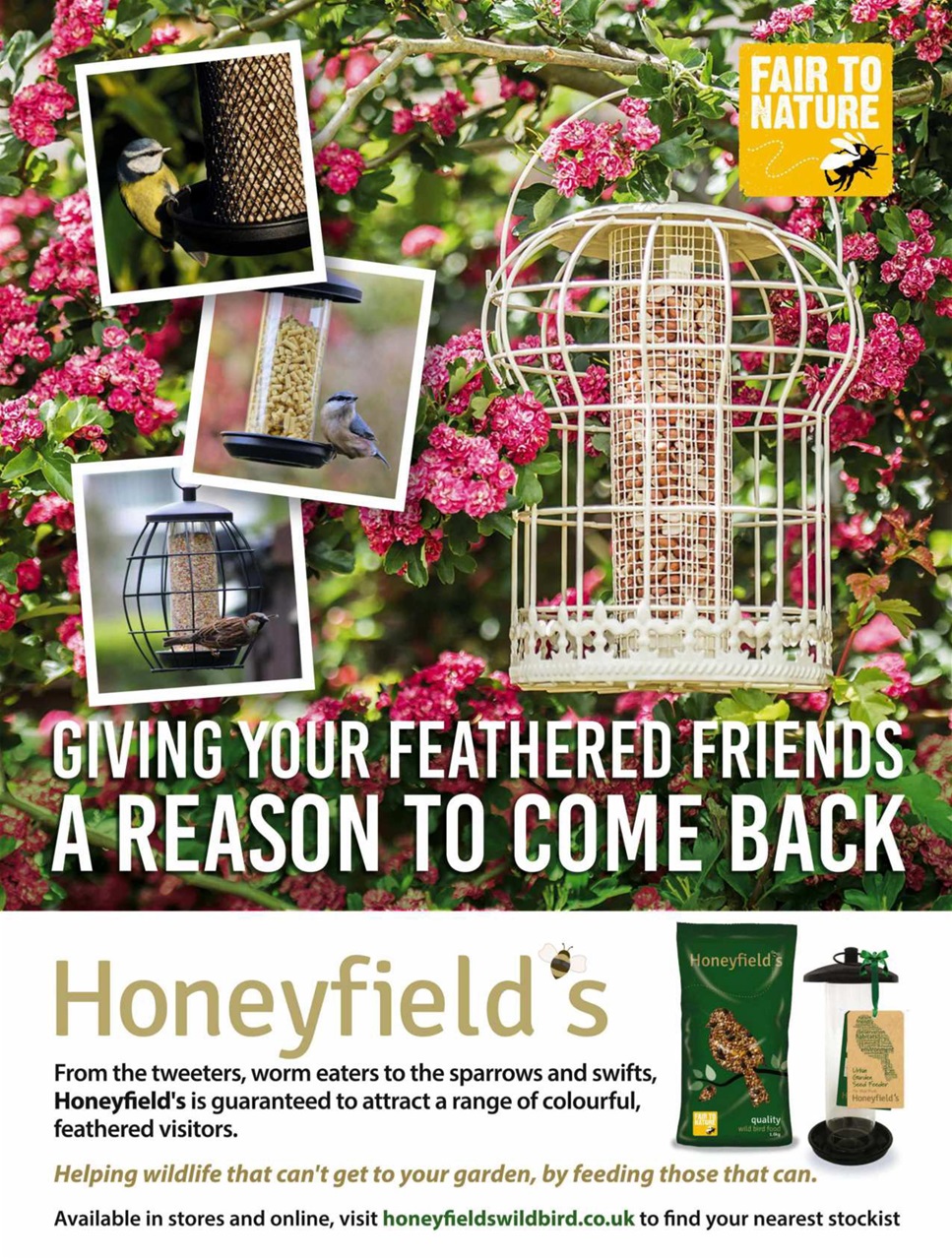 BBC Wildlife Magazine Preview Pages