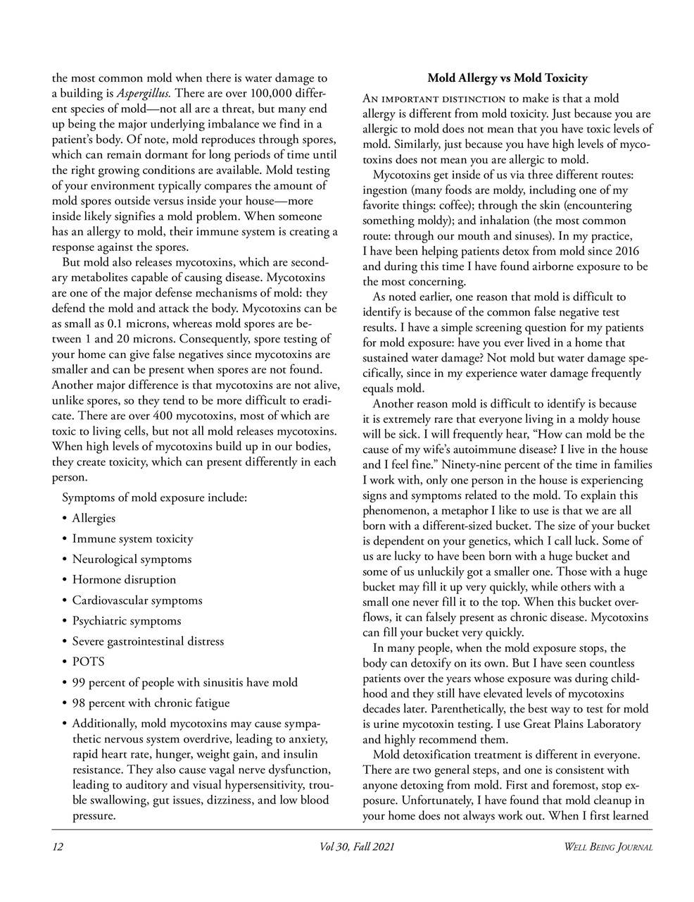 Well Being Journal Preview Pages