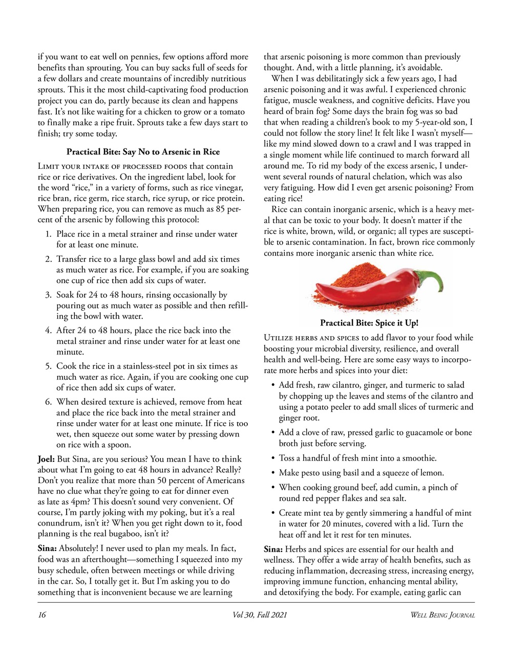 Well Being Journal Preview Pages