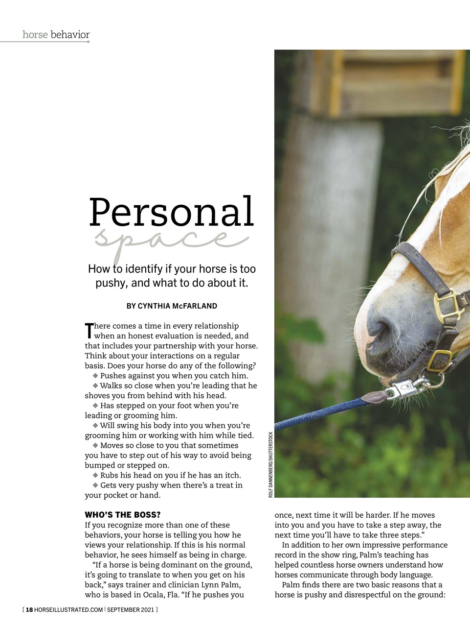 Horse Illustrated Magazine Preview Pages