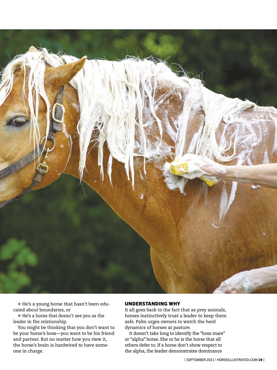 Horse Illustrated Magazine Preview Pages