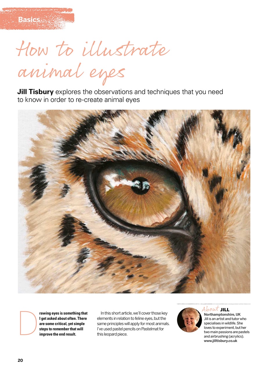 Creative Bookazine Preview Pages