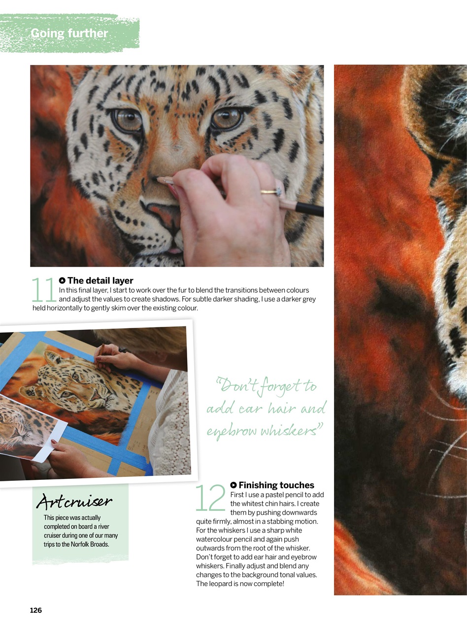 Creative Bookazine Preview Pages