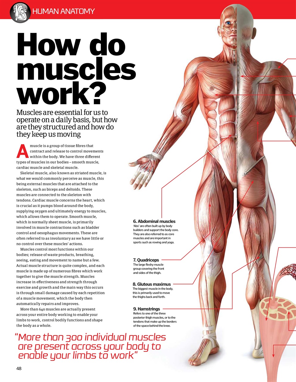 How It Works Bookazine Preview Pages