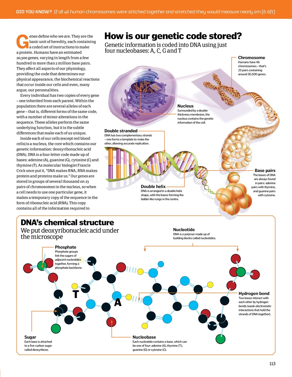 How It Works Bookazine Preview Pages