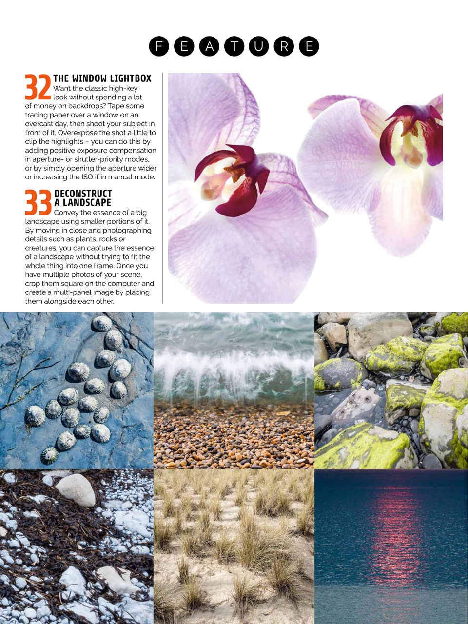 Photography Week Preview Pages