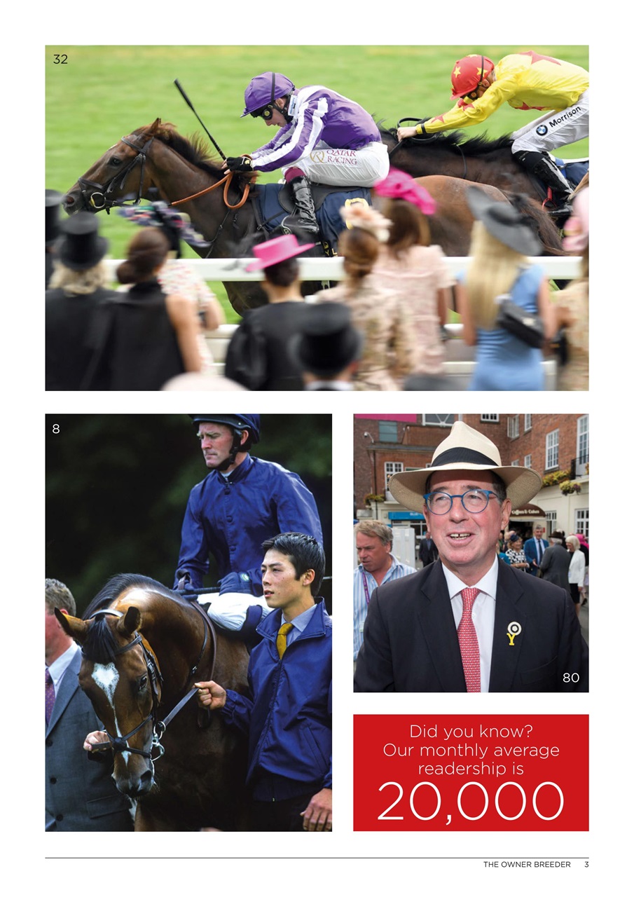 The Owner Breeder Preview Pages
