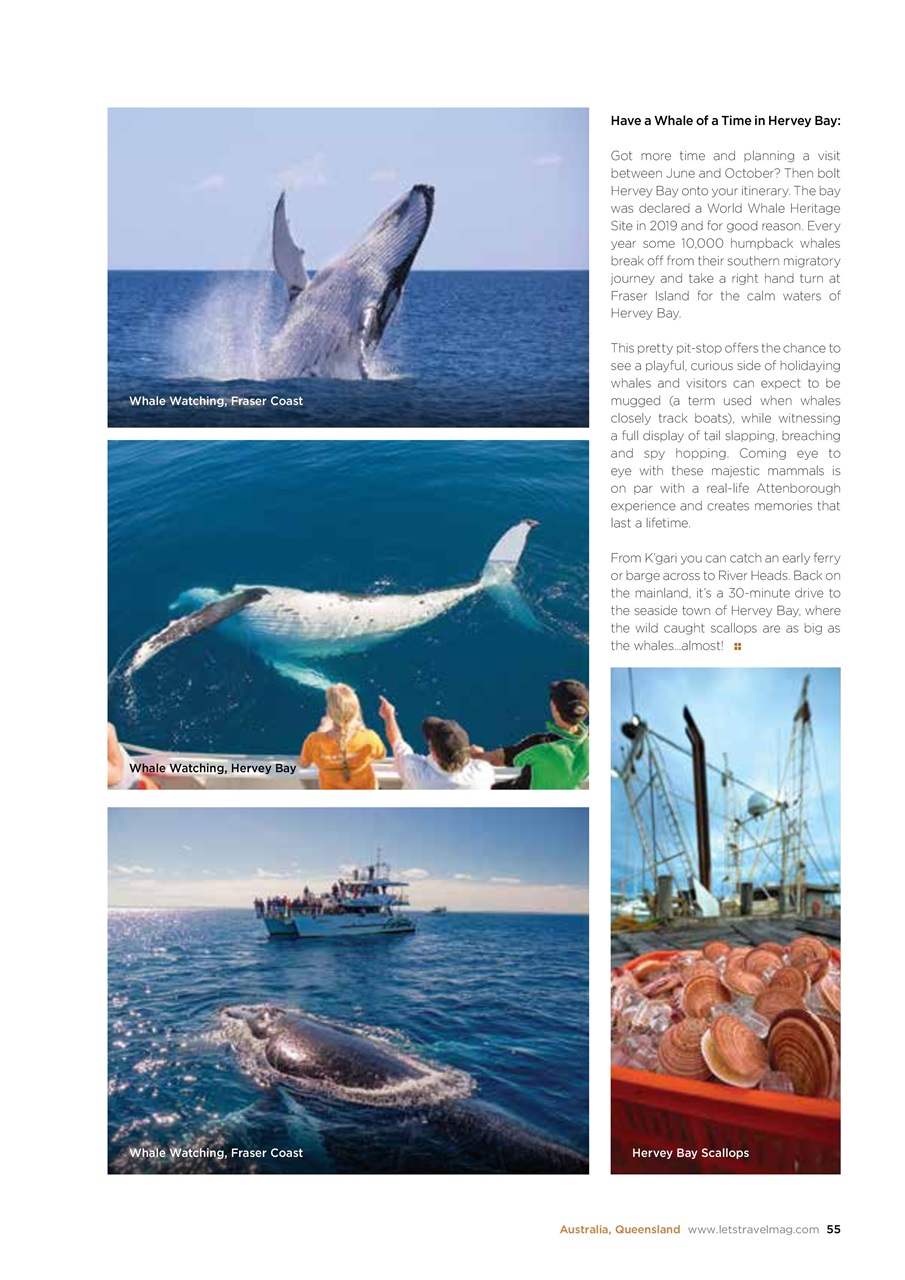 Let’s Travel Preview Pages