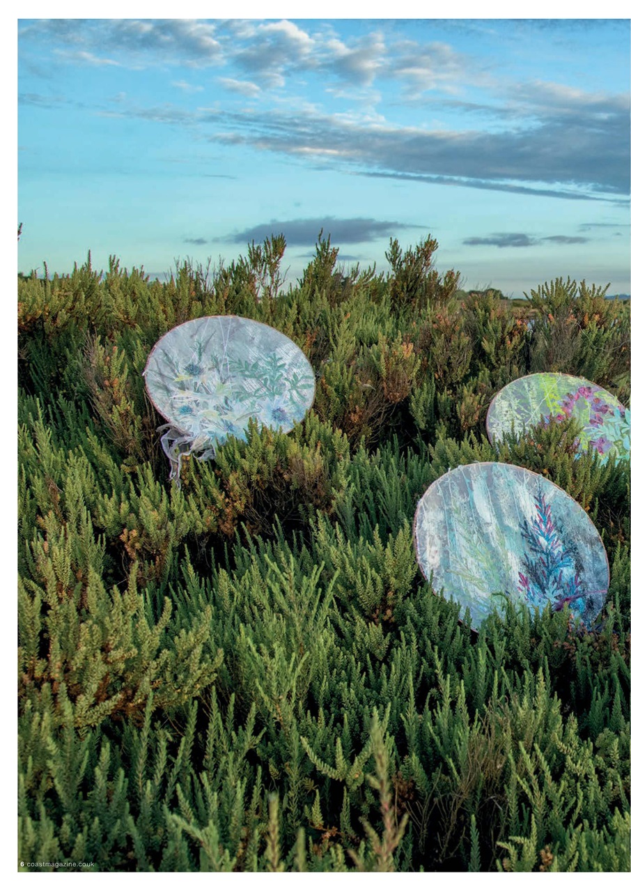 Saltwater Living Preview Pages